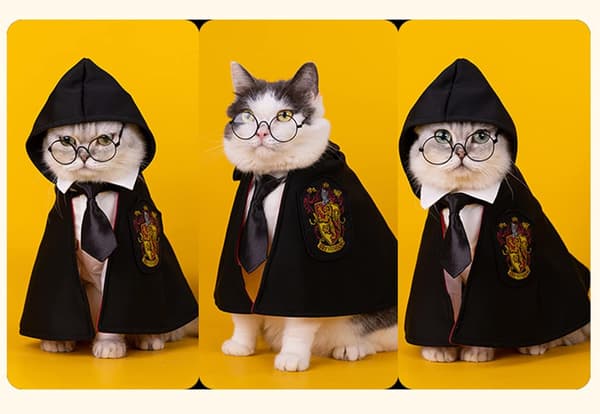 Hogwarts kæledyrsskolekappe Halloween kostume
