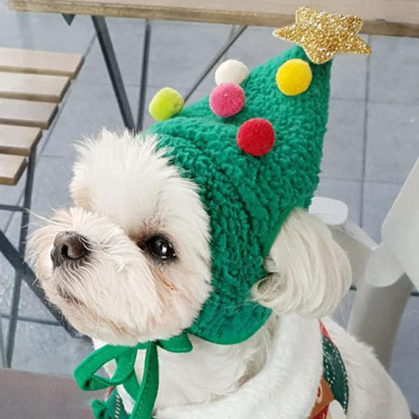 Juldräkt för husdjur, julkläder för hund, söt tomteluva