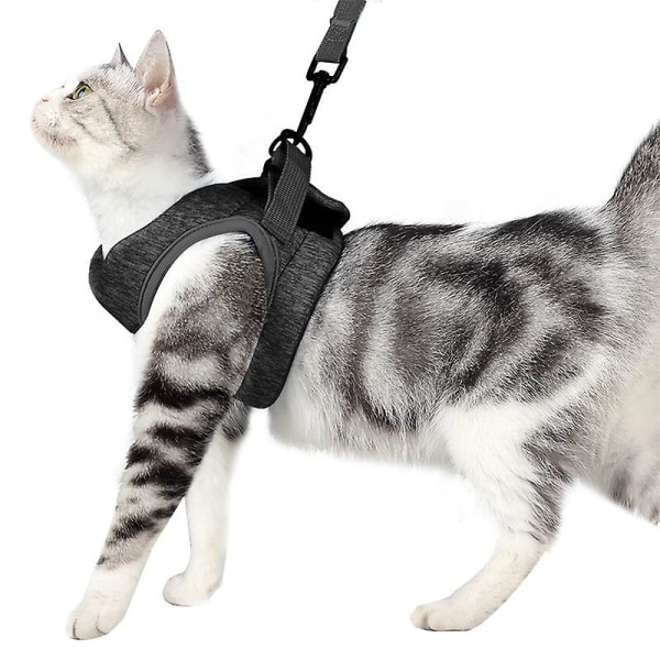 Cat Harness And Leash Set 360 Wrap-around Small Cat And Dog Harness Cushioning And Anti-escape Suitable（L Grey）