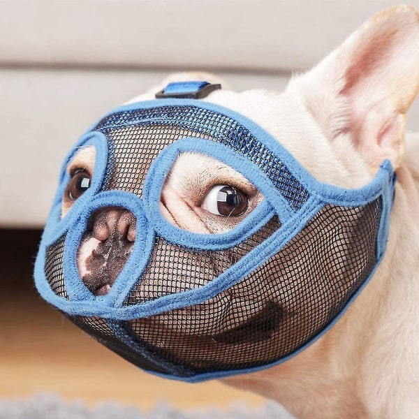 Kort nos hundmunstycke Bulldog munstycke, Stoppa hund för att bita skälla tugga, Justerbar kort mun hund anti-bit anti-ätande mask husdjur tillbehör M Blå