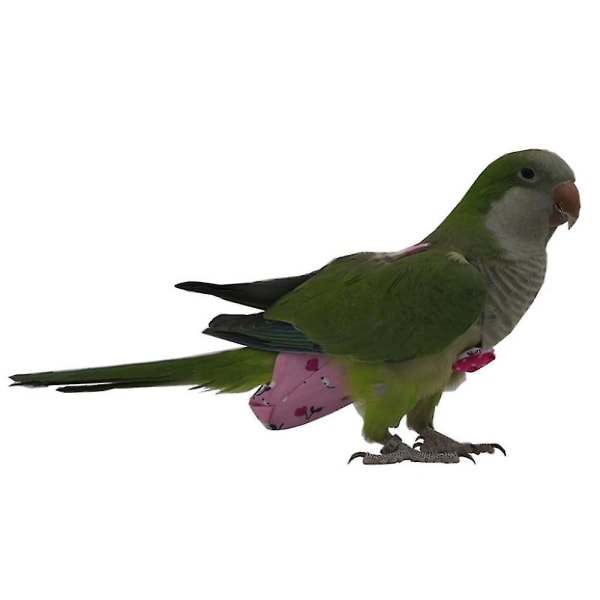 Genanvendelig Fugl Papegøje Flyvedragt Ble Cockatiel Duer Blepude M Pink