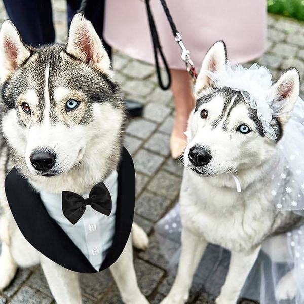 Formal Dog Tuxedo Bandana Dog Wedding Bandana Collar Dog Collar With Bow Tie Adjustable Dog Bowtie Collar Bandana（M）