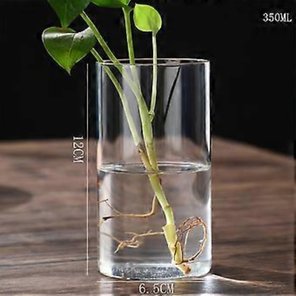Klar Glass Blomstervase Minimalistisk Glassvase Sylinder Blomstervase for Bryllup Stue Dekorativ Gave 6.5x15cm