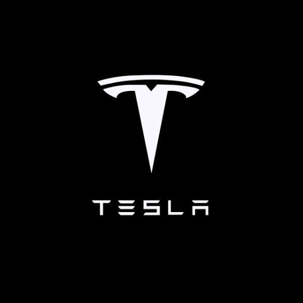 2 stk LED-dørlampeprojektor for TESLA MODEL3 X-modeller