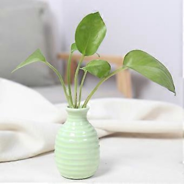 Plante Hydroponisk Keramisk Vase Kreativ Fremme Sund Vækst Plantekasse til Stue Soveværelse Studie Green