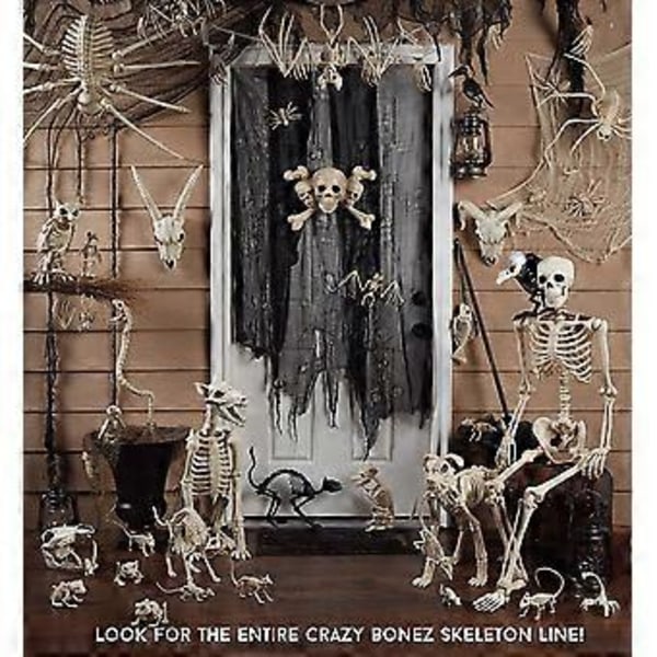 Crazy Bonez Skjelett Katt