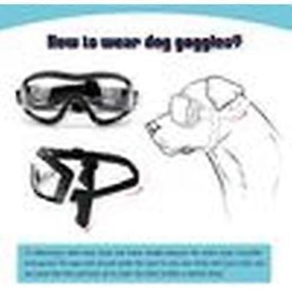 Hundebriller Kæledyr Solbriller Vandtætte Vindtætte Øjenbeskyttelse til Store/Mellemstore Hunde (Transparent)