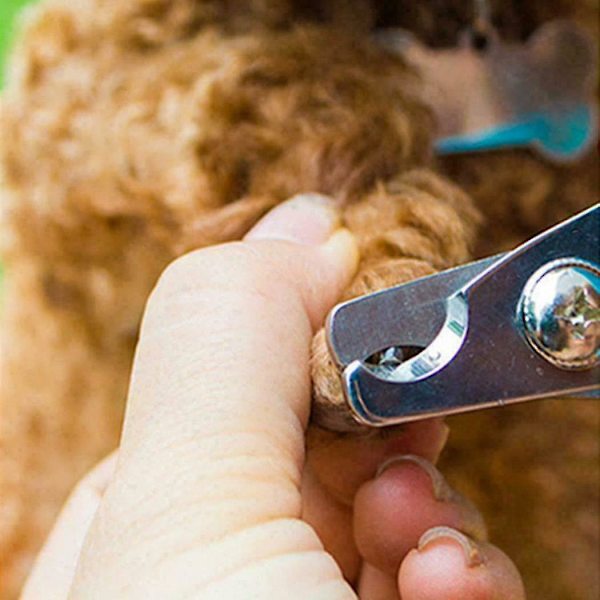 Rustfritt stål hund neglklipper kjæledyr klo trimmer verktøy dyr stell Eh7e E 11