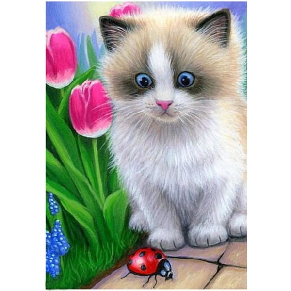 30*40cm 5D diamond painting Komplett Ragdoll Cat Lily Ladybug