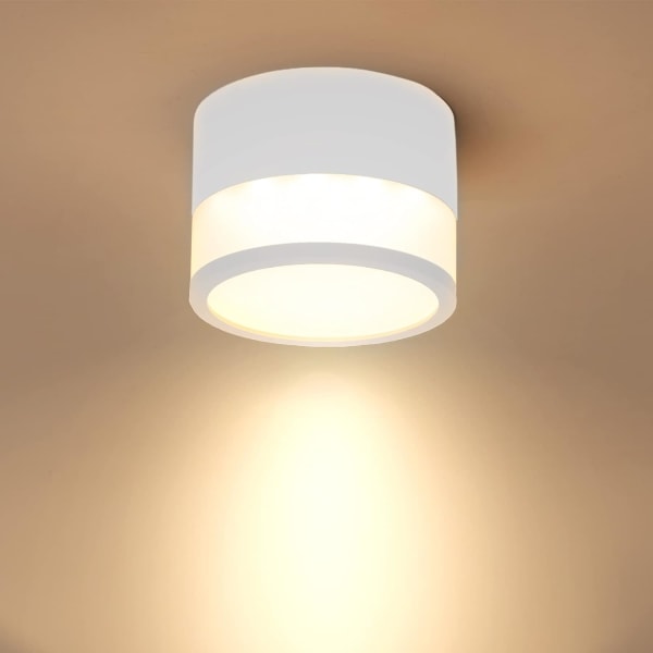 LED Ceiling Light Spot 12W 3000K Round White Warm White Ceiling L