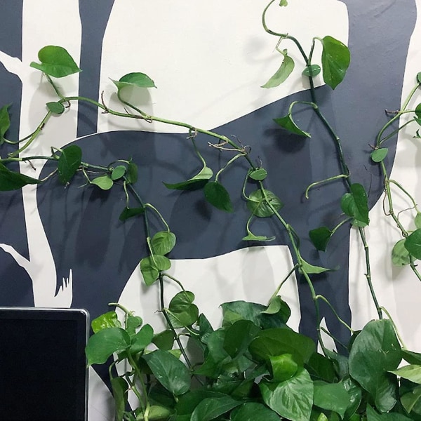 50st växtklämmor för klätterväxter, självhäftande växtväggväxtkrokar Fixerklämmor Grön plastvinhållare för heminredning