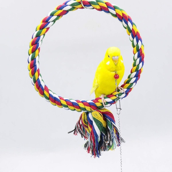 Fågelrepssväng Färgglad Abborre Klättringsleksak för Papegojor Undulat Nymfkakadua Conure - M
