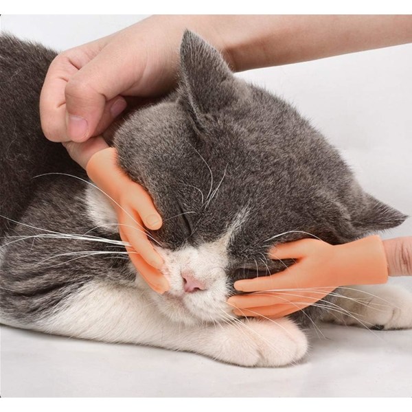 Cute Cat Mini Hands Touch Cheek Finger Børster Legetøj, 4 stk