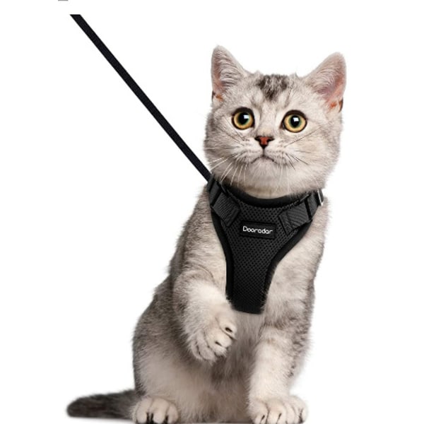 Active pearl rare cat tableware with leash bust 26*57cm