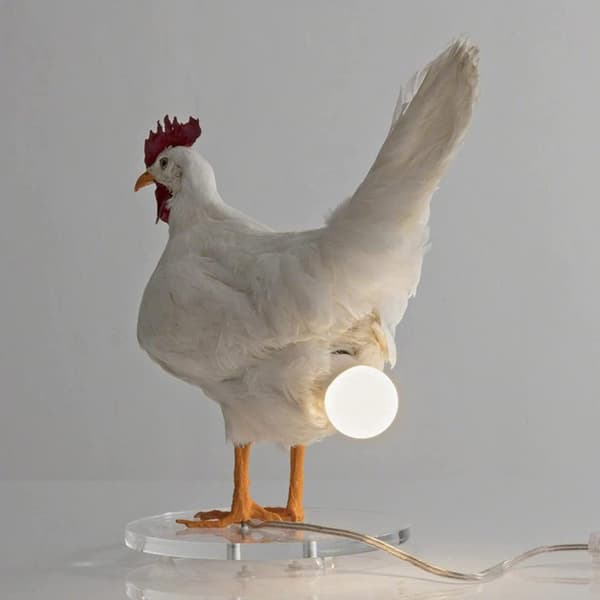 Led Kylling Egg Lampe Nattlampe Taksidermi Egg Skrivebordslampe