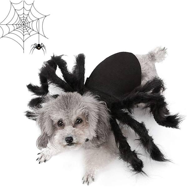 Husdjurskläder, spindel cosplay husdjurskostym för katt hund, spindel fladdermus r