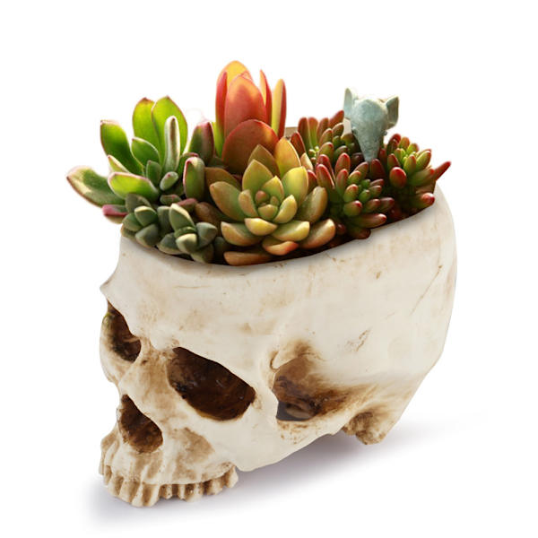Halloween Hollow Scary Skull Plant Pot Dry Soot Resin Simulation
