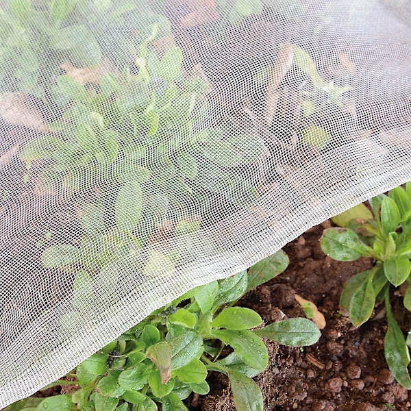 Have Net til Insektbeskyttelse i Haven: 1,2 x 5 M Fint Net til Beskyttelse af Porrer, Frugtræer, Haveplanter, Hvidt