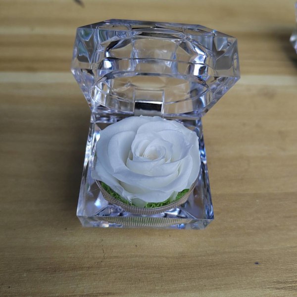 Äkta rosor permanent förvarade i mini transparent ringbox, årsdag, Alla hjärtans dag, jul, födelsedagspresenter (vit)
