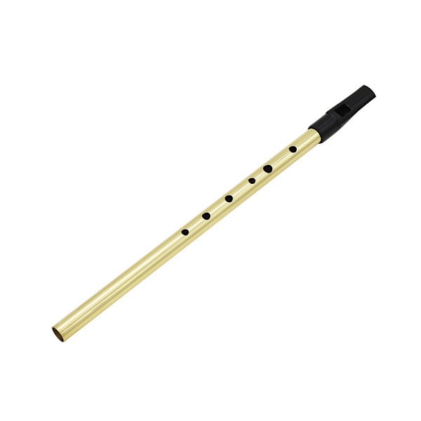 Kultainen irlantilainen tinapilli-instrumentti, d-pilli irlantilainen pilli D Coppe