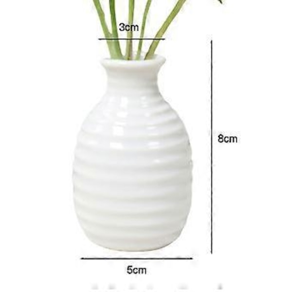 Plante Hydroponisk Keramisk Vase Kreativ Fremme Sund Vækst Plantekasse til Stue Soveværelse Studie White