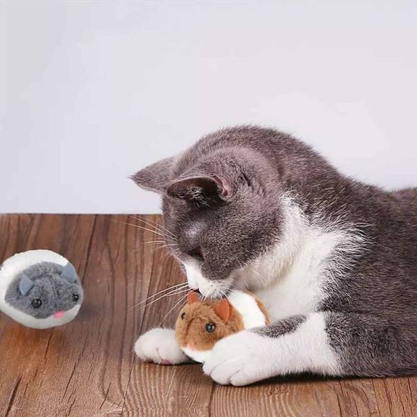 Katt leksak, 2 stycken plyschmus, automatisk kattmusleksak, katt leksak set, interaktiv katt leksak husdjur leksaker för katt kattunge