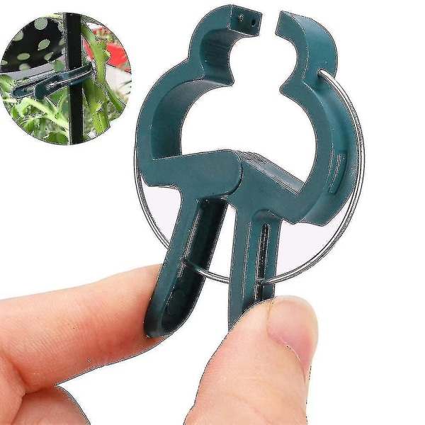 Garden Clip Seedling Grafting Flowers And Garden Decoration Garden Clip Size Optional Gardening