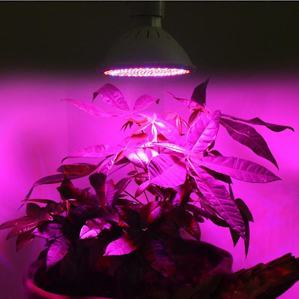 E27 200LED växtlampa röd blå hydroponisk blomma grönsaksodlingslampa 24w