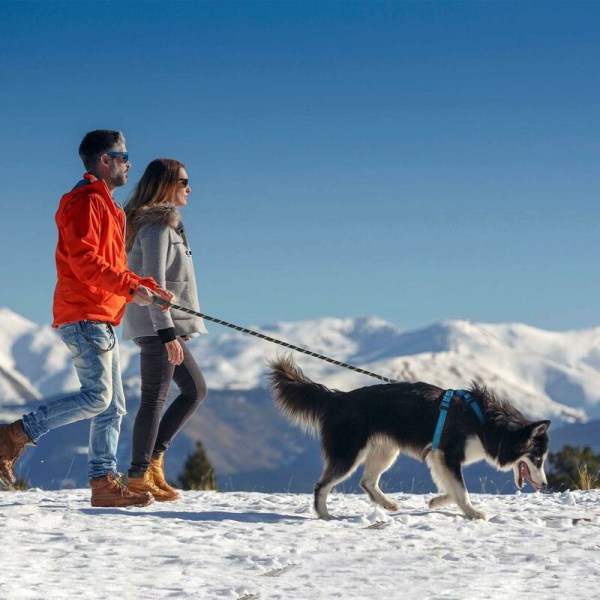 1,5 m hundekobbel, tauhundekobbel med mykt polstret håndtak og slitesterke nylonrefleksstråder Sikkerhetskobbel for alle størrelser