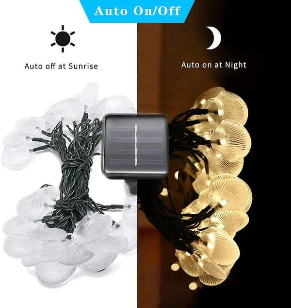 Shell Solar String Lights, 6m, 30 lys, Bryllup Jul Bursdag Ferie Rom Gård Dekorative Led Lys
