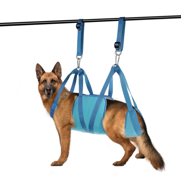 (L(18,5-31,5 kg), blå) Träningsutrustning för husdjur för hund och katt,