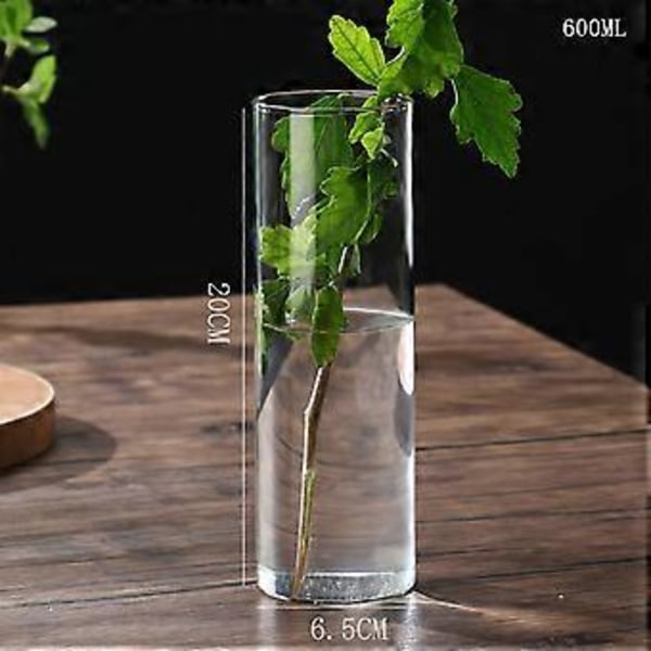 Klar Glas Blomstervase Minimalistisk Glasvase Cylinder Blomstervase til Bryllup Stue Dekorativ Gave 6.5x20cm
