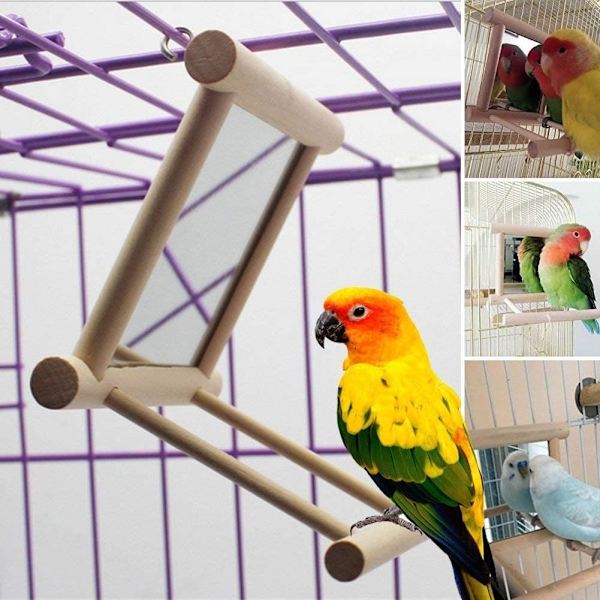 Familjefågel leksak för bur, papegoja hängande gunga med spegel, naturliga träleksaker, fågelbur tillbehör med metallkrok