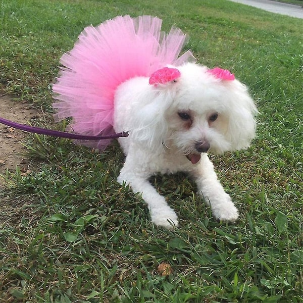 Husdjur Hund Katt Kostym Tutu Outfit Djur Halloween Fest Tulle Kjol（Rosa）