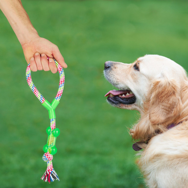 Utomhusleksaker hund leksak set 10 delar, bomull