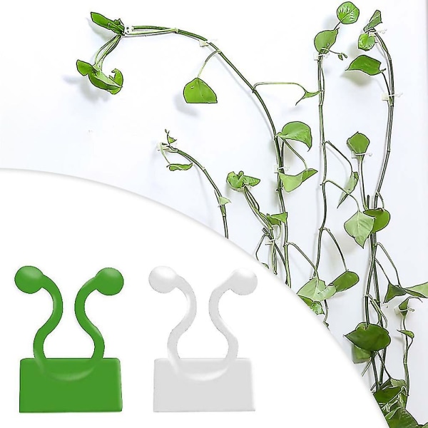 Plant Climbing Fixture Clips Vines Invisible Wall Fixing Sticky Hook White 10pcs