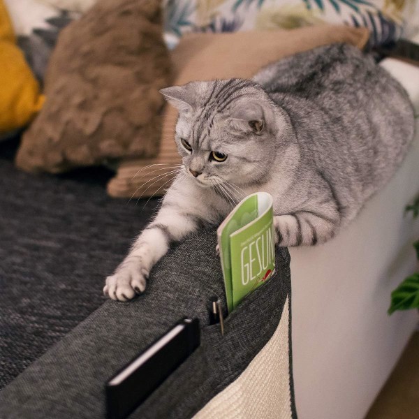 Cat Scratch Armstöd Förvaringslåda - Naturlig Sisal Cat Scratch Cushi