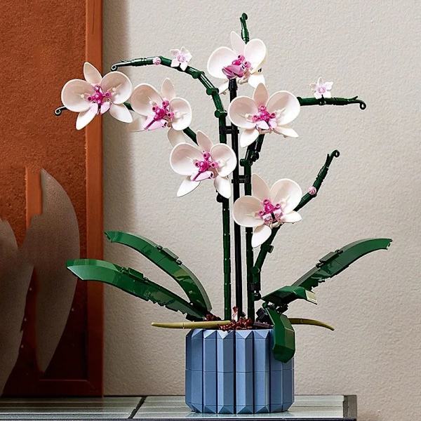 Orkidé plante byggeklodser og blomster, farve kronblade kan cha