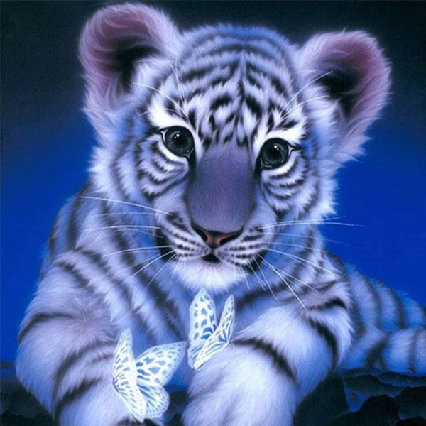 Diamond painting tigerfjäril, DIY 5D djur diamantkonstfärg