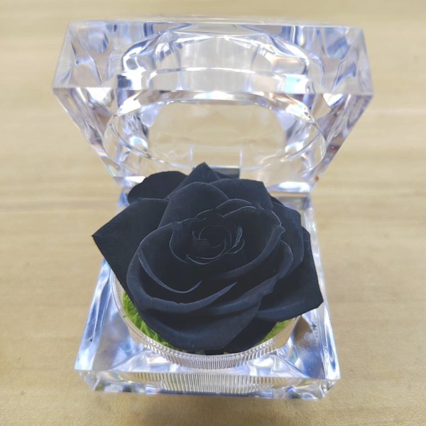 Äkta rosor permanent förvarade i mini transparent ringbox, årsdag, Alla hjärtans dag, jul, födelsedagspresenter (svart)
