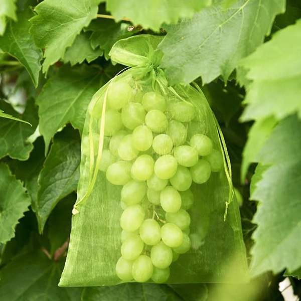 100 st Bunch Protection Bag 17x23cm Grape Fruit Organza Bag med Dragsko ger totalt skydd