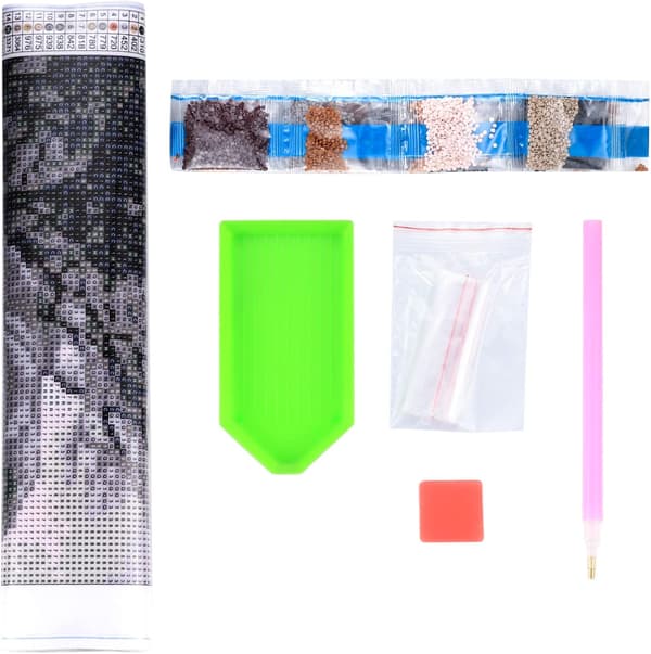 5D diamantmaleri kit (pige)