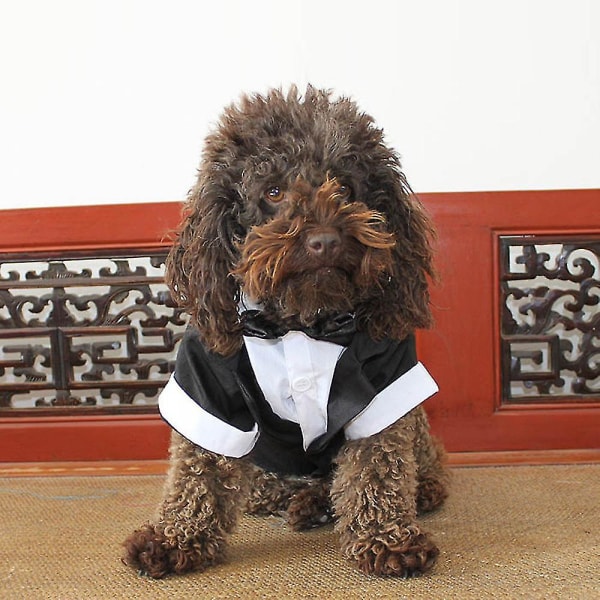 Stor Hund Smoking Bröllopsfest Set Hund Kostym För Stor Hund Golden Retriever Satsuma Bulldog XL Grå