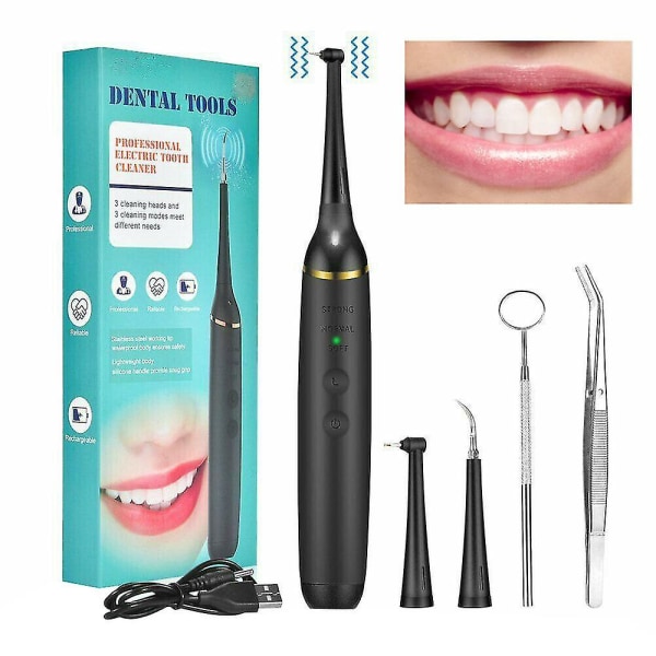 Elektrisk tandstensborttagningsmedel Sonic Dental Scaler Oral Irrigator Hushållständer Fläckar Tandstensverktyg
