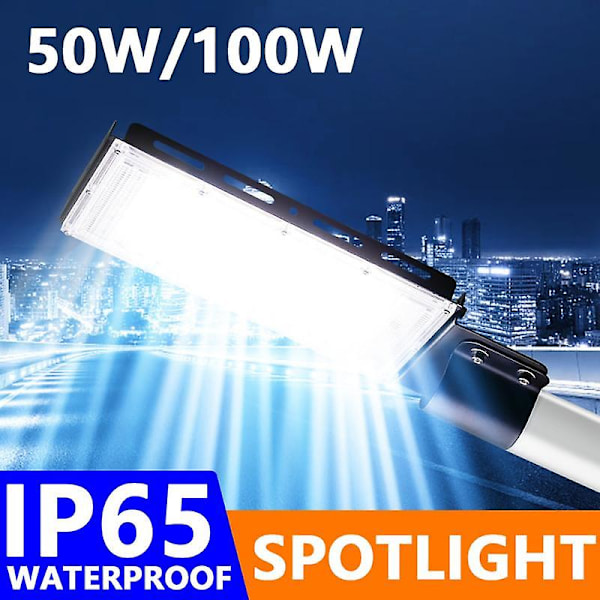 50w 100w LED-strålkastare AC 220v 240v Vattentät Ip65 Utomhusprojektor