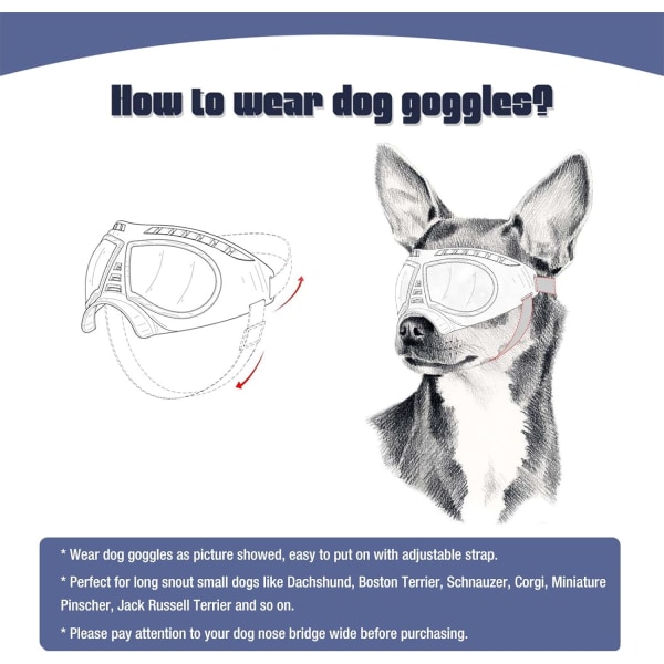Hundglasögon Ögonskydd Justerbara remmar Lätt att sätta på Anti-