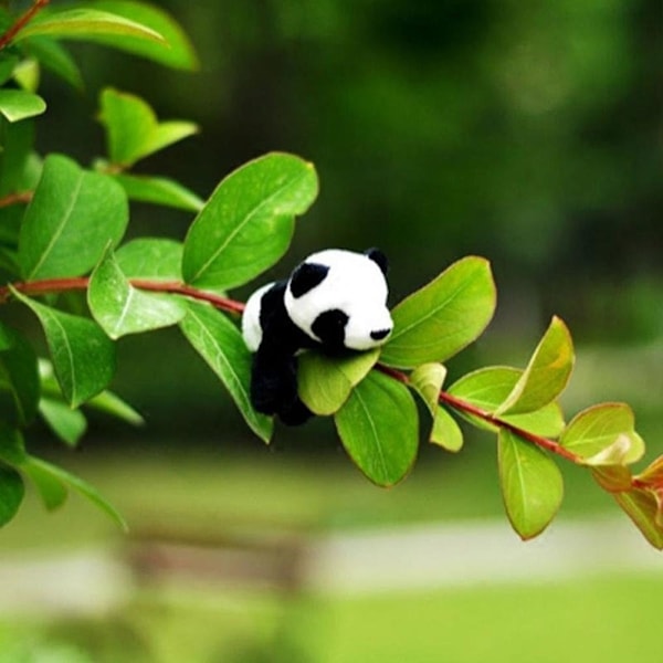2 kpl Satunnaisia ​​Plush Panda Jääkaappimagneetteja, Koko: 9cm x 9cm/3.54
