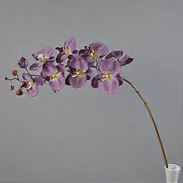 Phalaenopsis Orkide med 9 Hoveder, Hvid, 104cm, Ingen Vedligeholdelse Blue