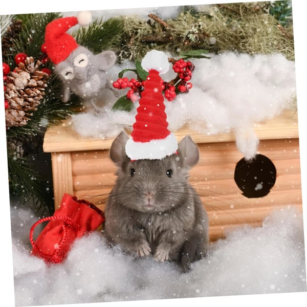 2 Pcs Christmas Hat for Cat Rabbit Santa Hat Santa Cap Christmas