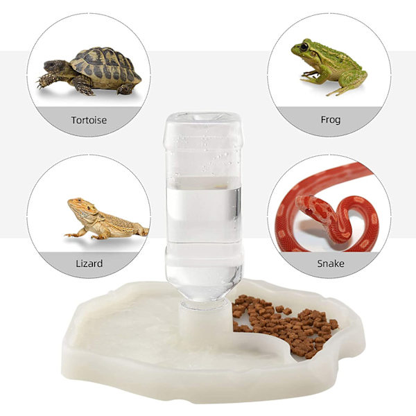 Reptil Vanddispenser, Skildpadde Vandautomat, Skildpadde Skål Feeder 2-i-1 Anti-spild Foderdispenser Plastik Skål Tilbehør - Belysning